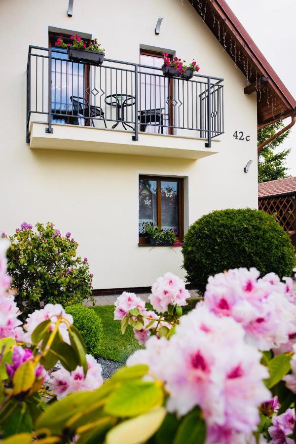 Apartamenty Pod Cisem Kudowa Zdroj Ngoại thất bức ảnh